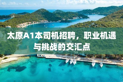 太原A1本司機(jī)招聘，職業(yè)機(jī)遇與挑戰(zhàn)的交匯點(diǎn)