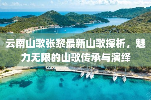 云南山歌張黎最新山歌探析，魅力無(wú)限的山歌傳承與演繹