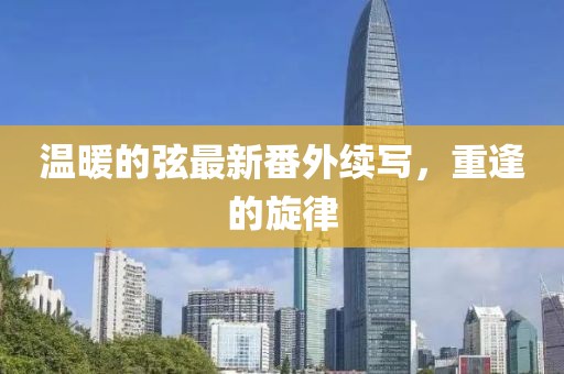 溫暖的弦最新番外續(xù)寫，重逢的旋律