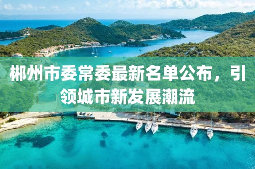 郴州市委常委最新名單公布，引領(lǐng)城市新發(fā)展潮流