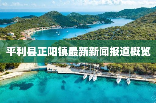 平利縣正陽(yáng)鎮(zhèn)最新新聞報(bào)道概覽