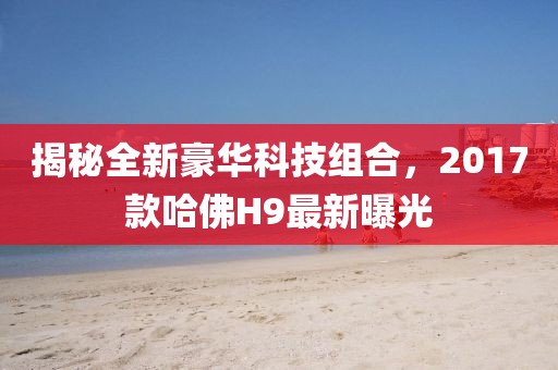 揭秘全新豪華科技組合，2017款哈佛H9最新曝光
