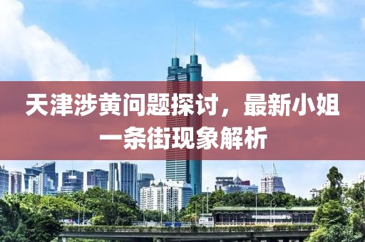 天津涉黃問(wèn)題探討，最新小姐一條街現(xiàn)象解析
