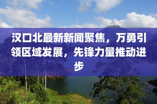 漢口北最新新聞聚焦，萬勇引領(lǐng)區(qū)域發(fā)展，先鋒力量推動進步
