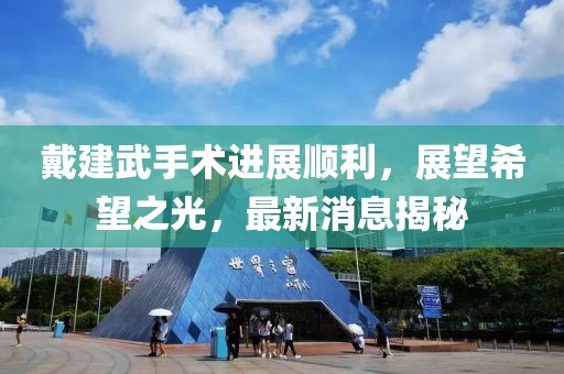 戴建武手術(shù)進(jìn)展順利，展望希望之光，最新消息揭秘