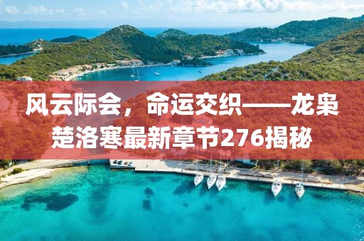 風(fēng)云際會(huì)，命運(yùn)交織——龍梟楚洛寒最新章節(jié)276揭秘