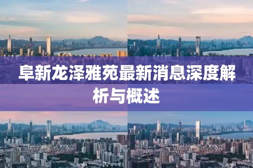 阜新龍澤雅苑最新消息深度解析與概述