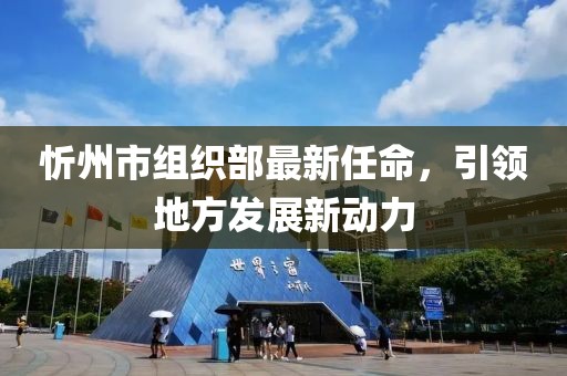 忻州市組織部最新任命，引領地方發(fā)展新動力