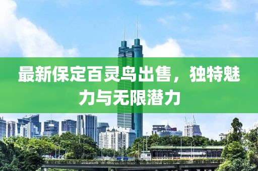 最新保定百靈鳥出售，獨(dú)特魅力與無限潛力