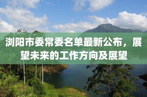瀏陽市委常委名單最新公布，展望未來的工作方向及展望
