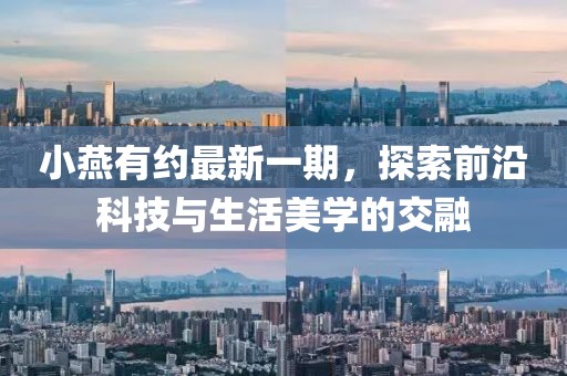 2024年12月 第824頁