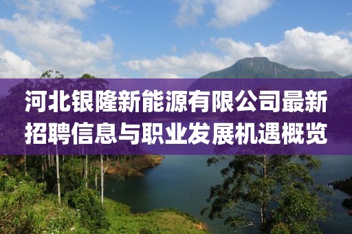 河北銀隆新能源有限公司最新招聘信息與職業(yè)發(fā)展機(jī)遇概覽