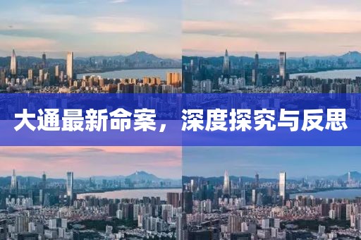 大通最新命案，深度探究與反思