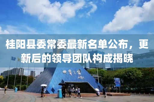 桂陽縣委常委最新名單公布，更新后的領導團隊構成揭曉