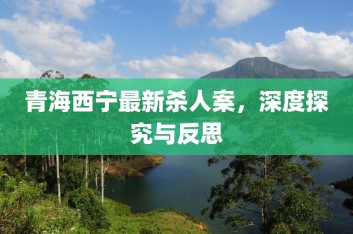 青海西寧最新殺人案，深度探究與反思