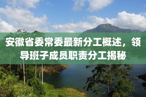 安徽省委常委最新分工概述，領(lǐng)導(dǎo)班子成員職責(zé)分工揭秘