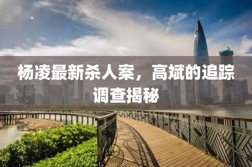楊凌最新殺人案，高斌的追蹤調(diào)查揭秘