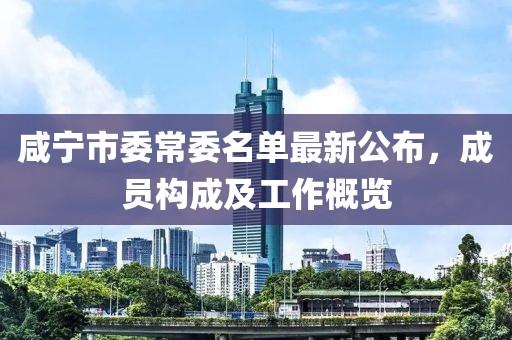 咸寧市委常委名單最新公布，成員構(gòu)成及工作概覽