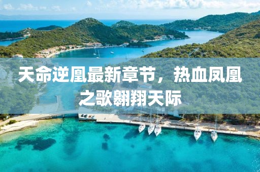 肆戰(zhàn)作王 第20頁(yè)