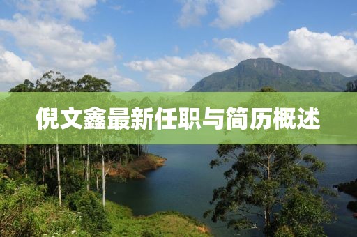 倪文鑫最新任職與簡(jiǎn)歷概述