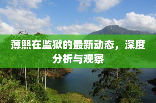 薄熙在監(jiān)獄的最新動(dòng)態(tài),深度分析與觀察