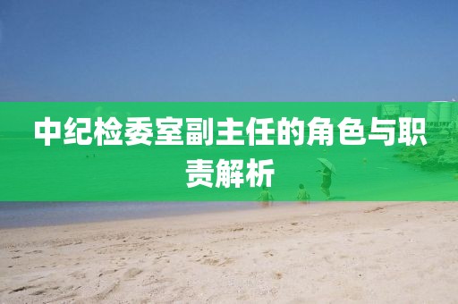 中紀(jì)檢委室副主任的角色與職責(zé)解析