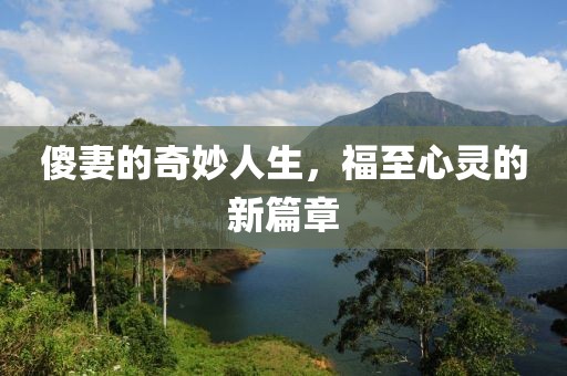 傻妻的奇妙人生，福至心靈的新篇章