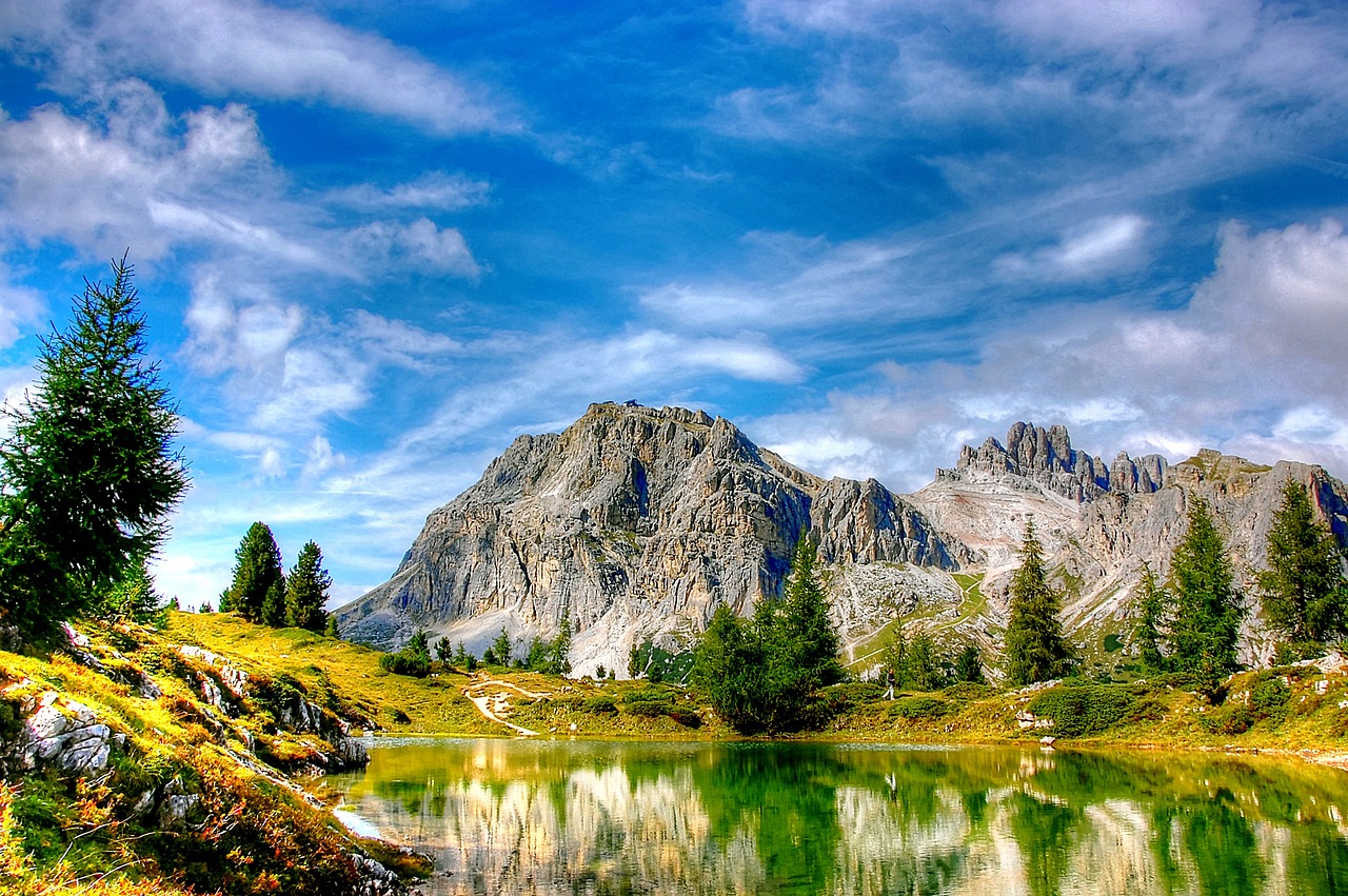 大連東北特鋼最新動(dòng)態(tài)解析，全面關(guān)注最新消息