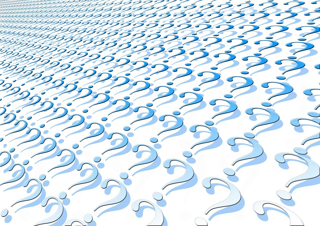 2024年12月 第69頁