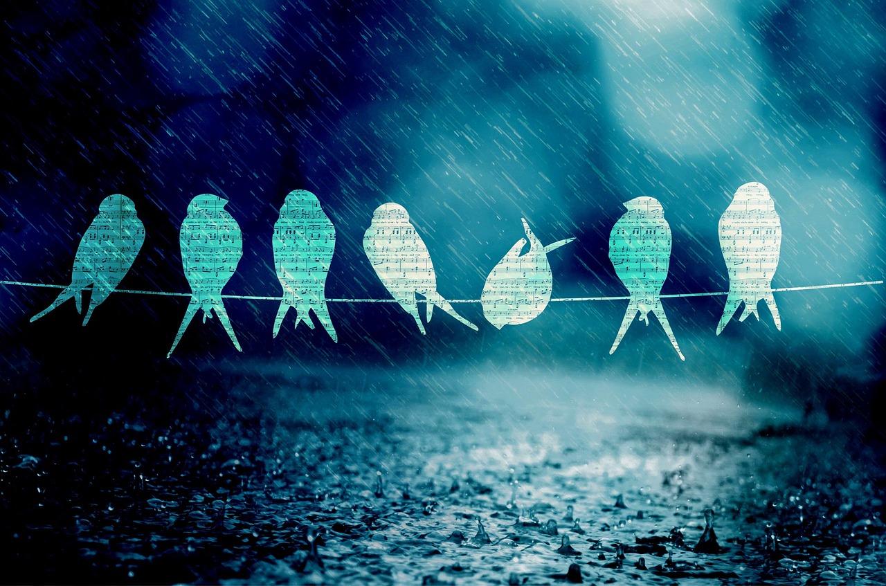 舟山自貿(mào)區(qū)蓬勃發(fā)展，海洋經(jīng)濟(jì)新引擎揭秘最新動(dòng)態(tài)