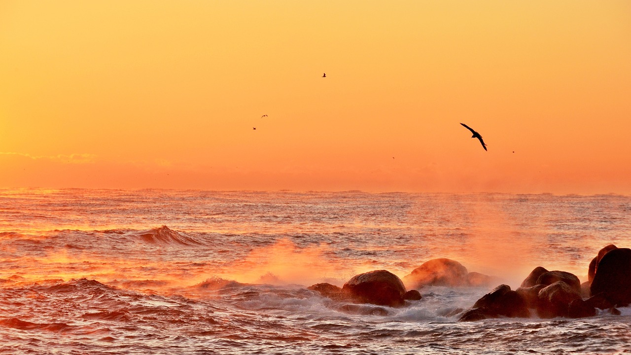 舟山出海捕魚最新招聘啟事，探索海洋的機(jī)遇與挑戰(zhàn)