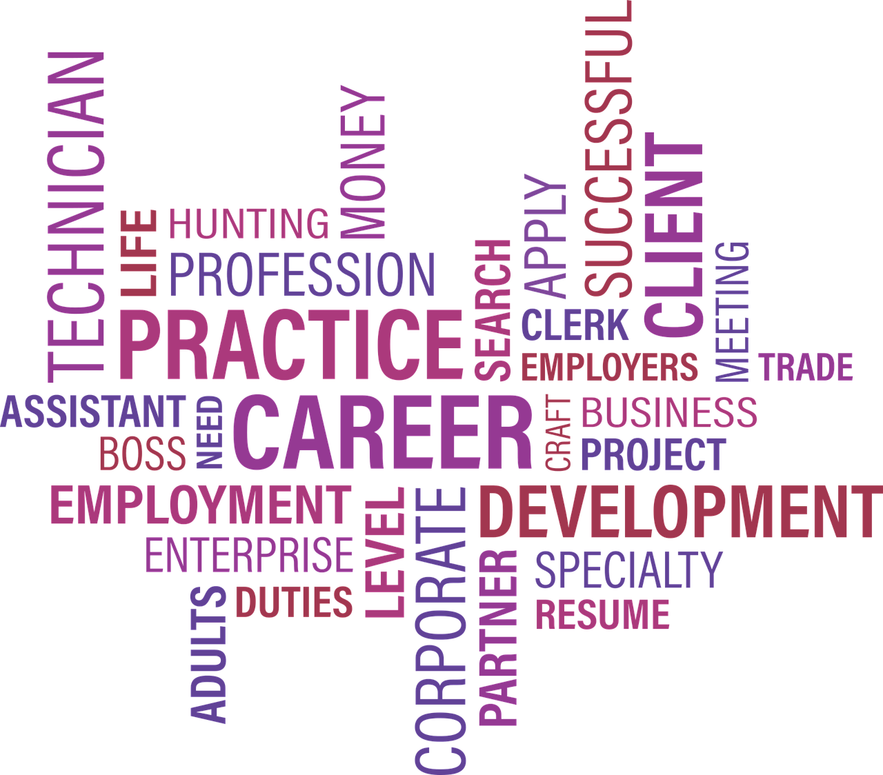 北京大興狼垡最新招工信息，影響與機(jī)會解析