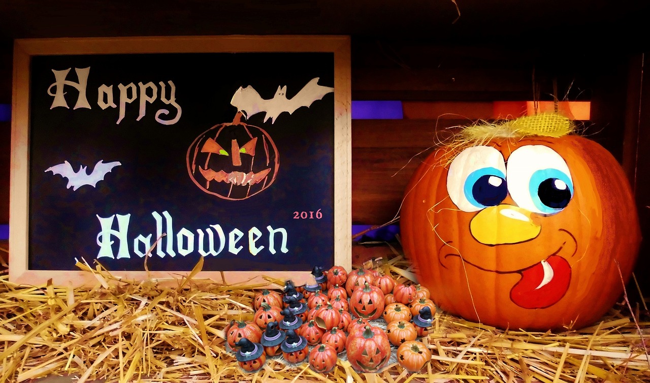 龍潤(rùn)灣美最新動(dòng)態(tài)揭秘，揭開這片美景的神秘面紗