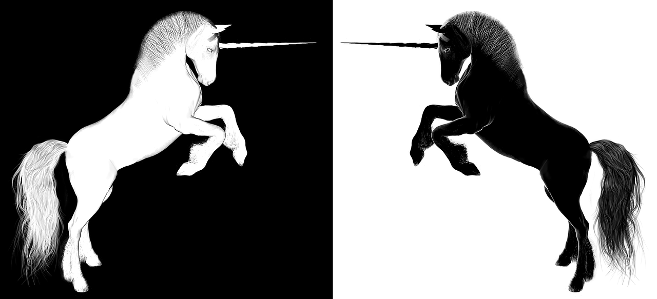 上海浦東合慶最新招聘動(dòng)態(tài)，影響與趨勢(shì)分析