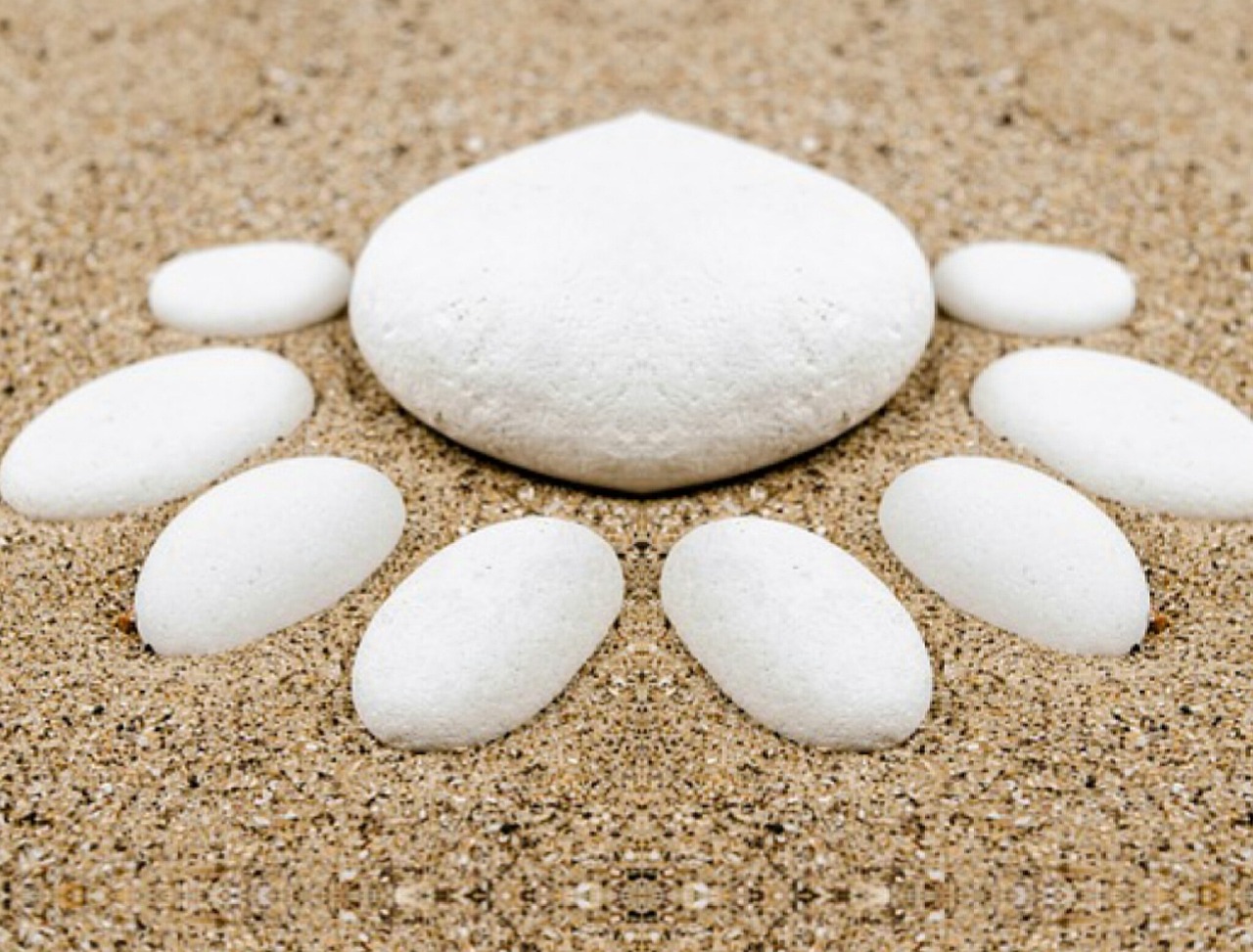 本兮官網(wǎng)最新動態(tài)，音樂之旅全新啟程