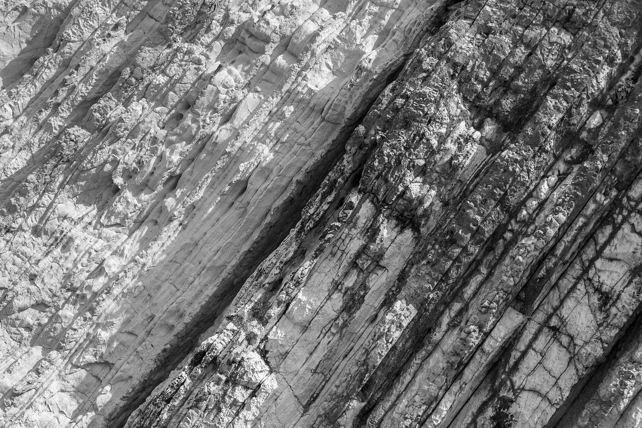 佛山童夢天下打造全新兒童娛樂體驗(yàn)的最新動態(tài)