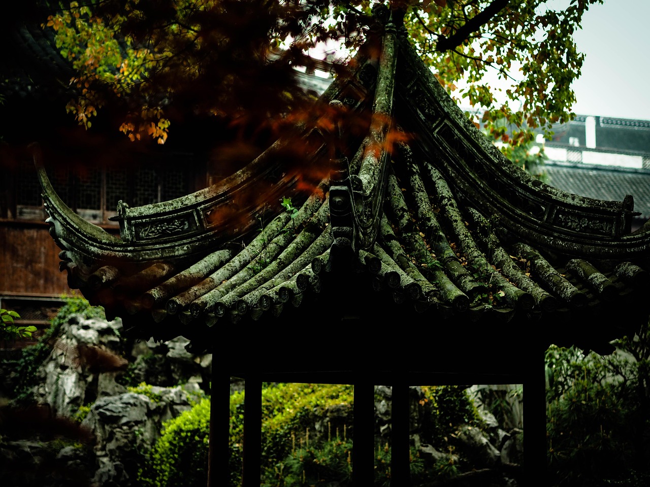 中國女排隊(duì)蓄勢(shì)待發(fā)，展現(xiàn)新篇章，最新消息與動(dòng)態(tài)速遞