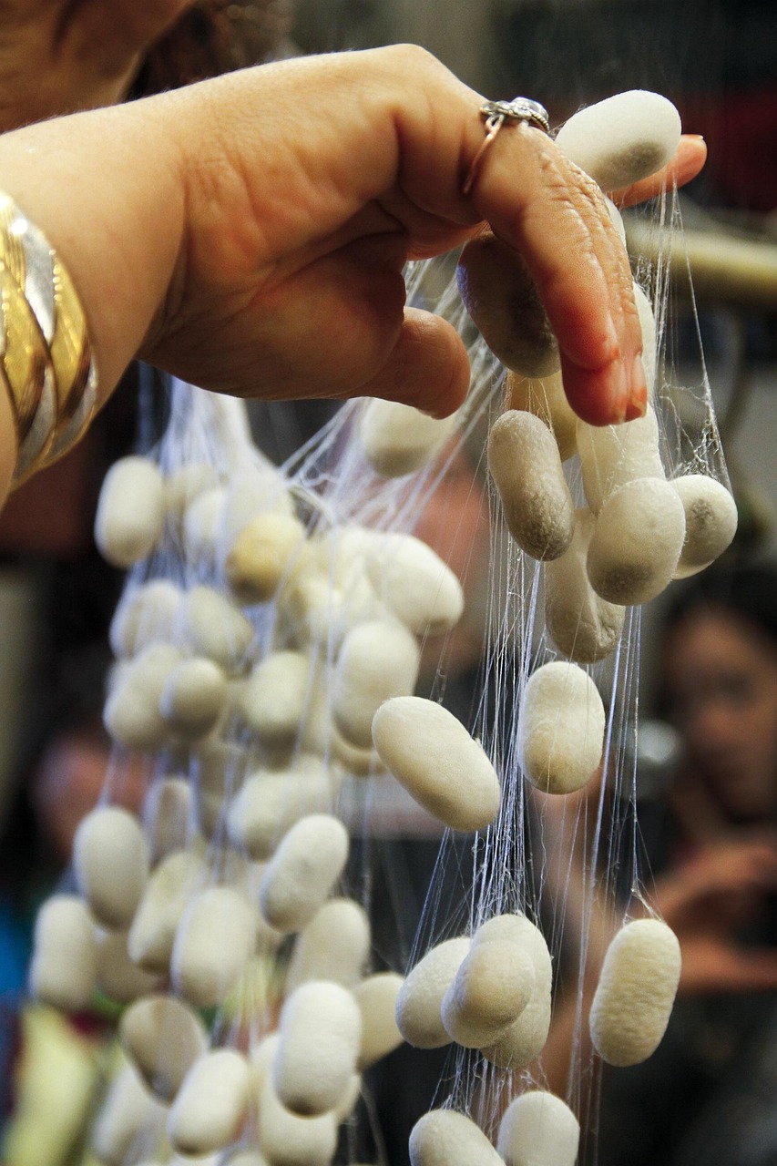 2025年2月 第281頁(yè)