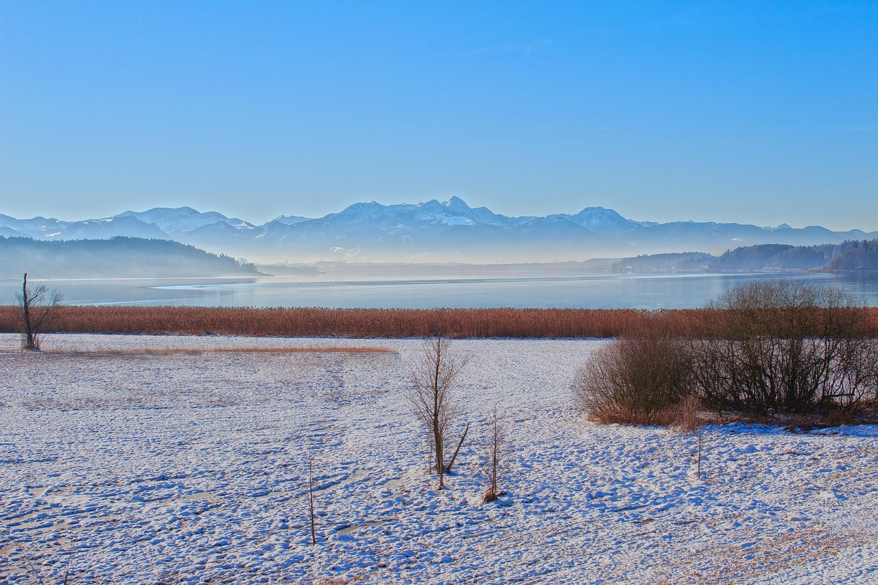2025年2月 第230頁