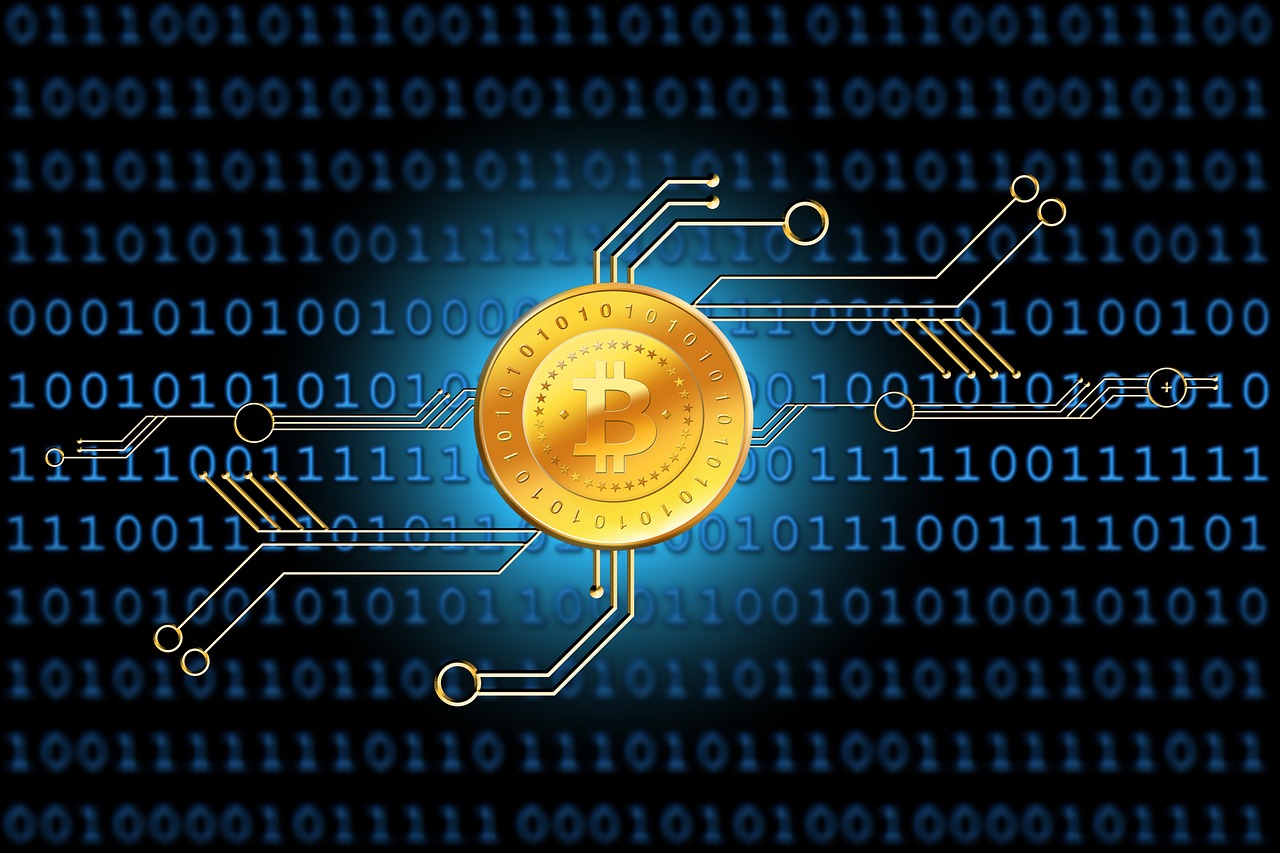 最新傳染病分類及種類概述，全面解析傳染病的世界