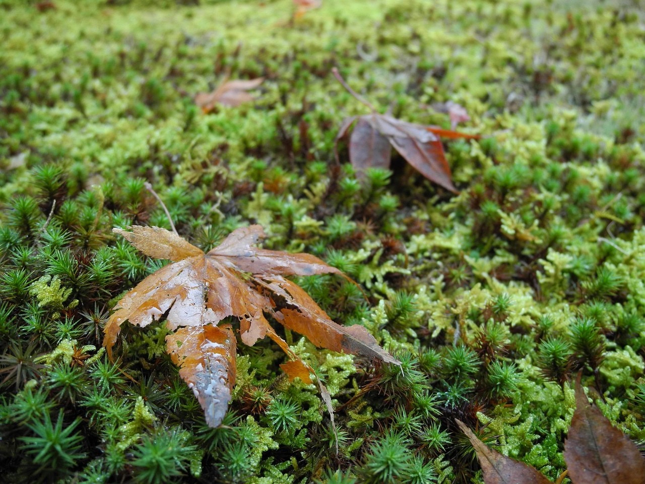 2025年3月 第93頁